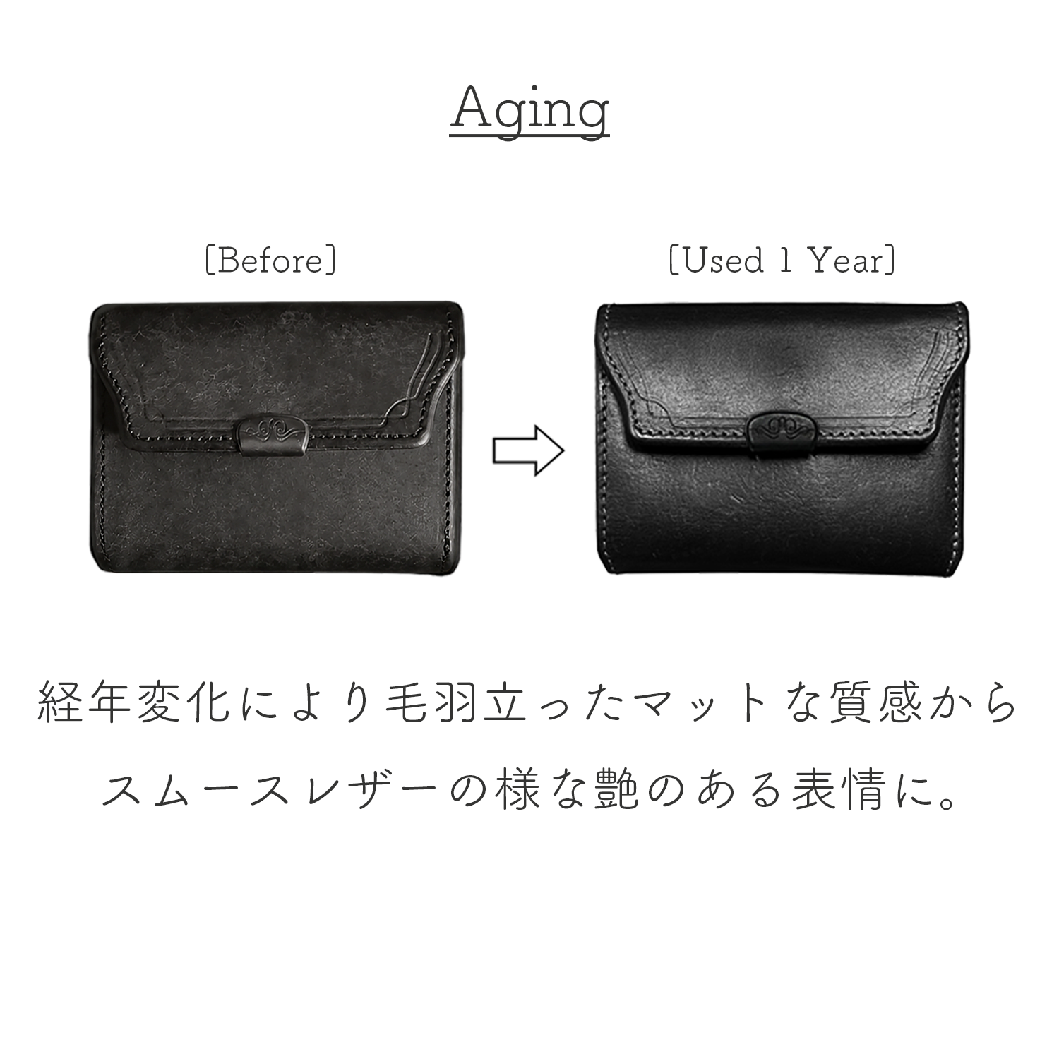 [予約商品]Dual プエブロ コンパクトウォレット[DCr-1040PB]
