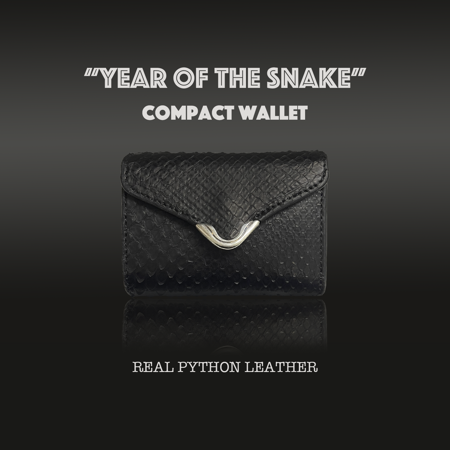 BLACK PYTHON