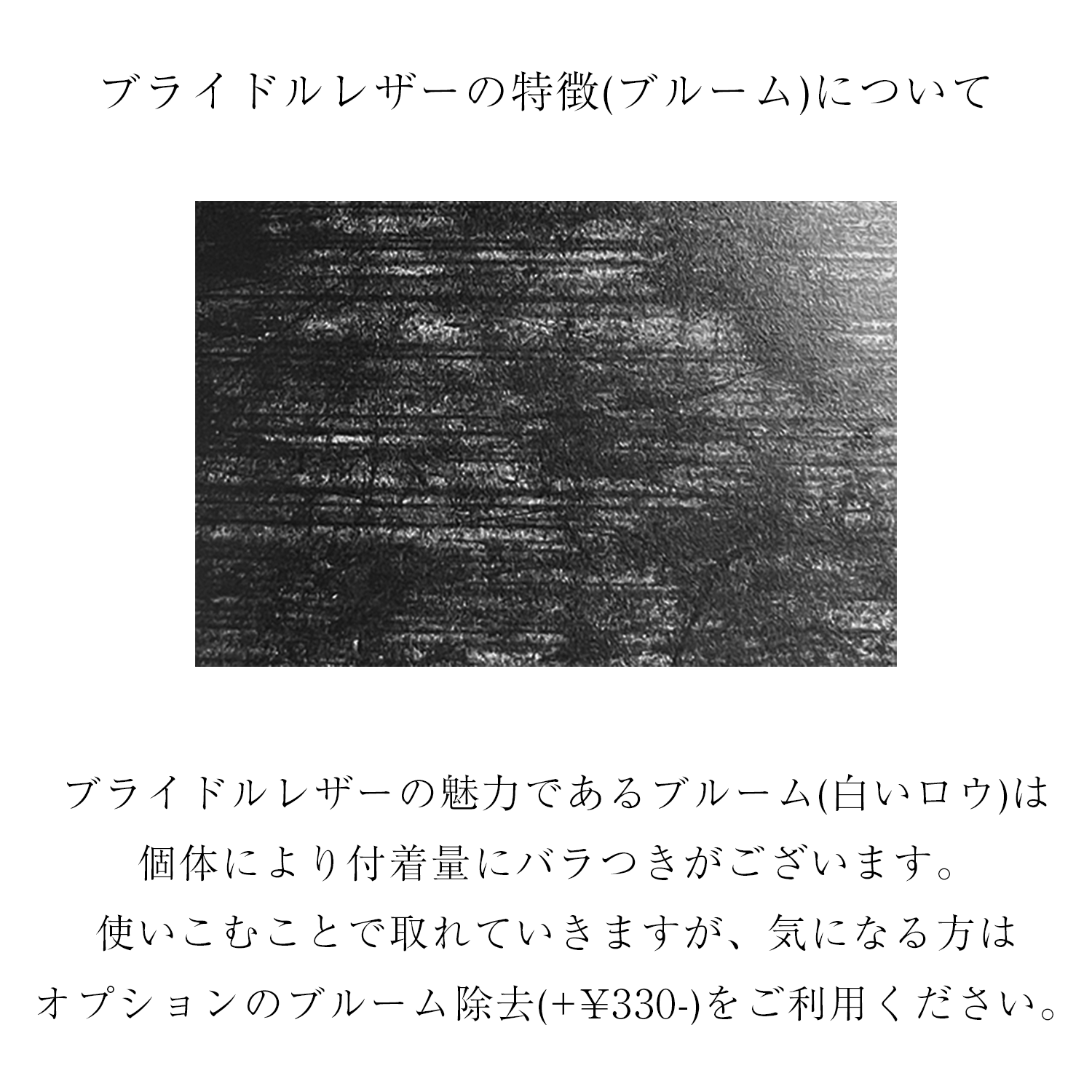 Cramp UKブライドル キー&コインケース[Cr-916LTD]